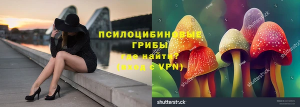 амфетамин Алексин