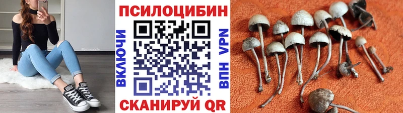 Галлюциногенные грибы Magic Shrooms Мичуринск
